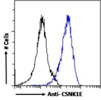 Flow Cytometry: Casein Kinase 1 epsilon Antibody [NB100-93388]