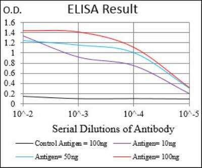 ELISA: Casein Kinase 2 beta Antibody (1H8A5) - BSA Free [NBP2-52450]