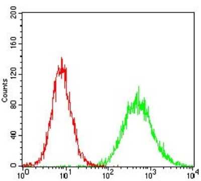 Flow Cytometry: Casein Kinase 2 beta Antibody (1H8A5) - BSA Free [NBP2-52450]