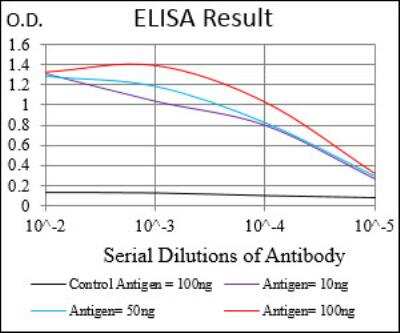 ELISA: Casein Kinase 2 beta Antibody (2F12F3) - BSA Free [NBP2-52449]