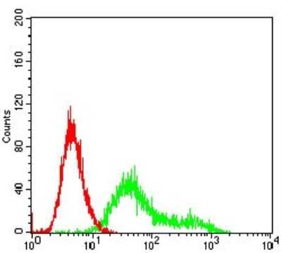 Flow Cytometry: Casein Kinase 2 beta Antibody (2F12F3) - BSA Free [NBP2-52449]