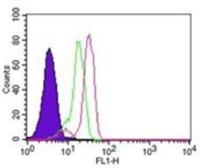 Flow Cytometry: Caspase-14 Antibody (70A1426) [NB100-56718]