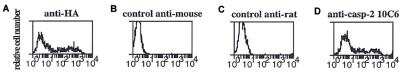 Flow Cytometry: Caspase-2 Antibody (10C6) - BSA Free [NBP2-80095]