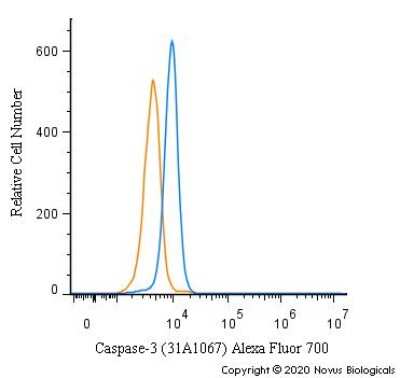 Flow Cytometry of NIH3T3 Cells Stained with Alexa Fluor 700 Conjugated Caspase-3 Antibody