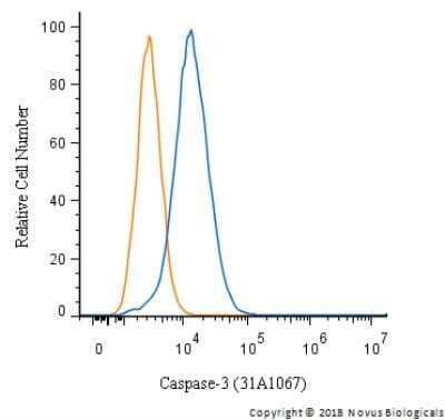 Flow Cytometry of HeLa Cells Stained with Caspase-3 Antibody