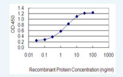 ELISA: Caspase-4 Antibody (7G7) [H00000837-M02-100ug]