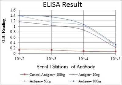 ELISA: Caspase-8 Antibody (1H11) - BSA Free [NBP2-22183]