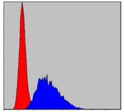 Flow Cytometry: Caspase-8 Antibody (1H11) - BSA Free [NBP2-22183]