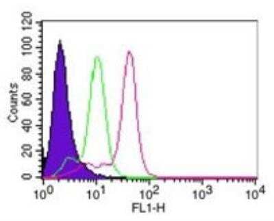 Flow Cytometry: Caspase-8 Antibody (90A992) - BSA Free [NB100-56527]