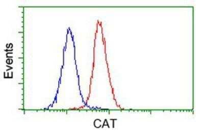 Flow Cytometry: Catalase Antibody (OTI1B8) [NBP2-00492]