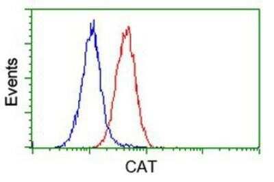 Flow Cytometry: Catalase Antibody (OTI1B8) - Azide and BSA Free [NBP2-70342]