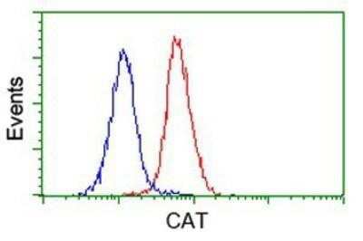 Flow Cytometry: Catalase Antibody (OTI1B8) - Azide and BSA Free [NBP2-70342]