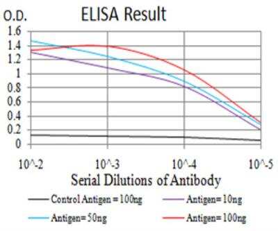 ELISA: Catenin alpha 1 Antibody (8B6C1) - BSA Free [NBP2-61722]