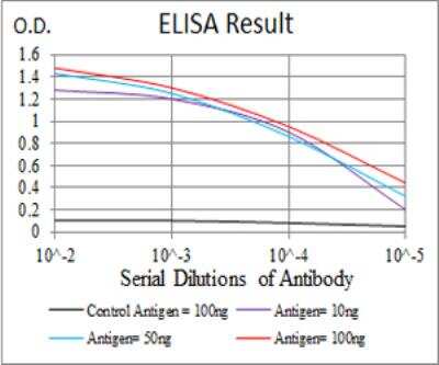ELISA: Cathepsin D Antibody (2H4H5) - BSA Free [NBP2-52451]