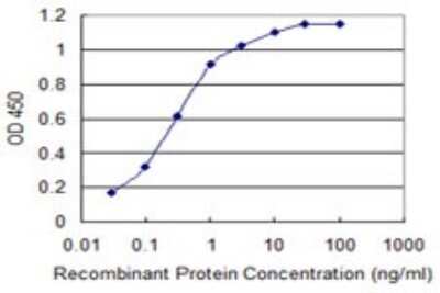 ELISA: Cav1.2 Antibody (4D10) [H00000775-M20]