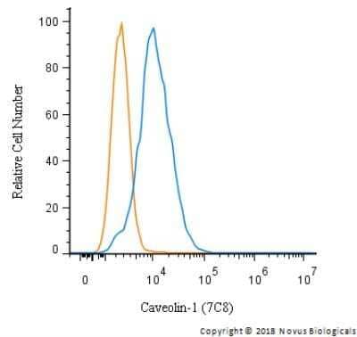 Flow Cytometry: Caveolin-1 Antibody (7C8) - Azide and BSA Free [NBP2-80617]