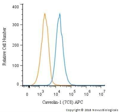 Flow Cytometry: Caveolin-1 Antibody (7C8) - Azide and BSA Free [NBP2-80617]