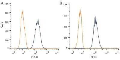 Flow Cytometry: Caveolin-1 Antibody (7C8) - Azide and BSA Free [NBP2-80617]