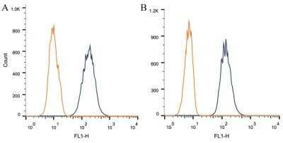Flow Cytometry: Caveolin-1 Antibody (7C8) [NB100-615]