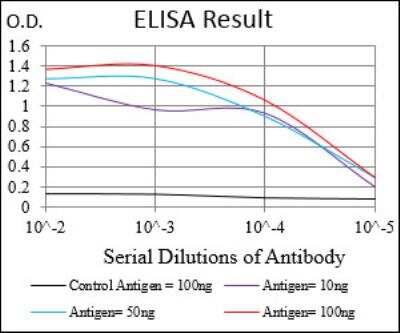 ELISA: Caveolin-2 Antibody (5E9E2) - BSA Free [NBP2-52431]