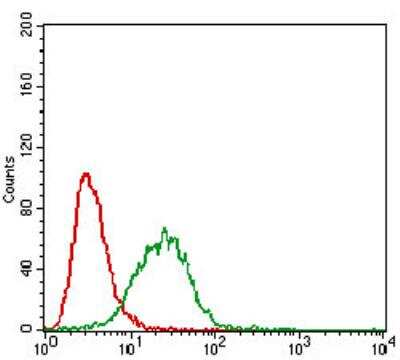 Flow Cytometry: Caveolin-2 Antibody (5E9E2) - BSA Free [NBP2-52431]