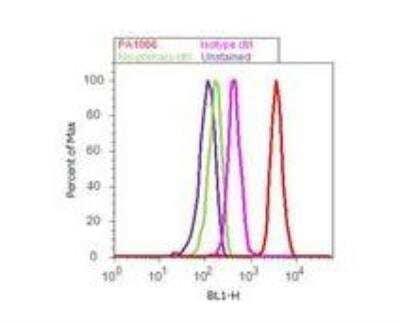Flow Cytometry: Caveolin-3 Antibody [NB110-5029]