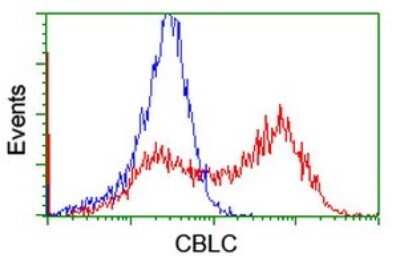 Flow Cytometry: Cbl-c Antibody (OTI3B4) [NBP2-45587]