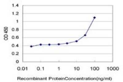 ELISA: Cbx2 Antibody (3E2) [H00084733-M04]