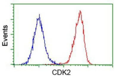 Flow Cytometry: CDK2 Antibody (OTI2D9) [NBP2-00776]