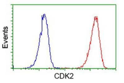 Flow Cytometry: CDK2 Antibody (OTI2D9) [NBP2-00776]