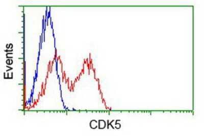 Flow Cytometry: Cdk5 Antibody (OTI2H6) [NBP1-47692]