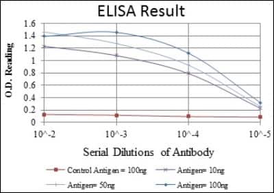 ELISA: Cdk5 Antibody (4E4) - BSA Free [NBP2-37602]