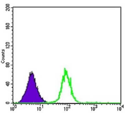 Flow Cytometry: Cdk5 Antibody (4E4) - BSA Free [NBP2-37602]