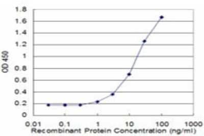 ELISA: Cdk9 Antibody (2D7) [H00001025-M07]