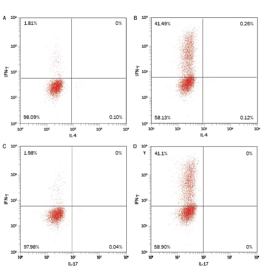 Verification of Th1 Cell Identity using Flow Cytometry. 