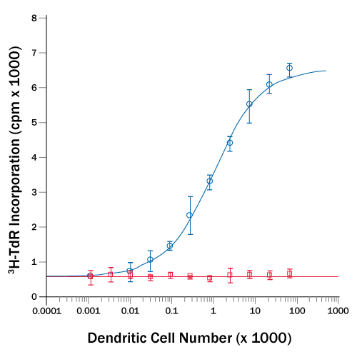 Mature Dendritic Cells Induce Proliferation of Allogeneic T-cells.