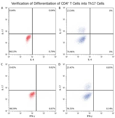 Intracellular Cytokine Staining of Differentiated Human Th17 Cells.