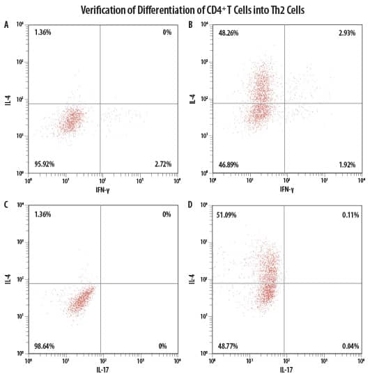 Intracellular Cytokine Staining of Differentiated Human Th2 Cells. 