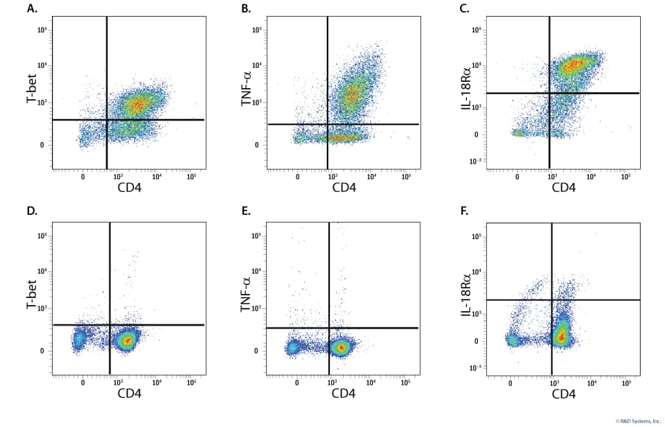 Upregulation of T-bet, TNF-alpha, and IL-18R alpha in Th1-polarized Mouse CD4 Cells. 