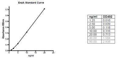 ELISA: ChABC Antibody Pair [NBP1-97919]