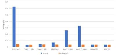 ELISA: Chikungunya Virus VLP Antibody (AG7-2-A7-E10) [NBP3-14852]