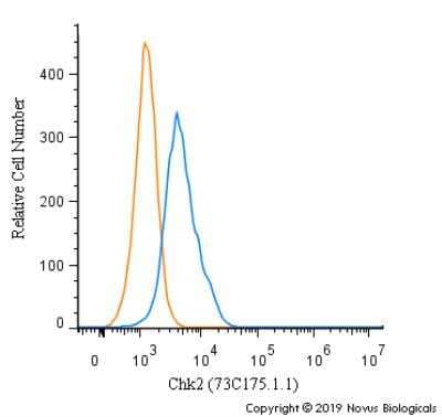 Flow Cytometry: Chk2 Antibody (73C175.1.1) [NB100-56546]