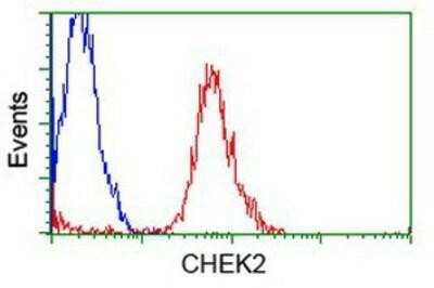 Flow Cytometry: Chk2 Antibody (OTI5C4) [NBP1-47695]