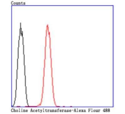 Flow Cytometry: Choline Acetyltransferase/ChAT Antibody (JA67-11) [NBP2-66779]