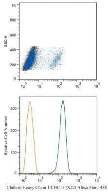 Flow Cytometry: Clathrin Heavy Chain 1/CHC17 Antibody (X22) - BSA Free [NB300-613]