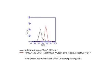 Flow Cytometry: Claudin-15 Antibody [H00024146-D01P]