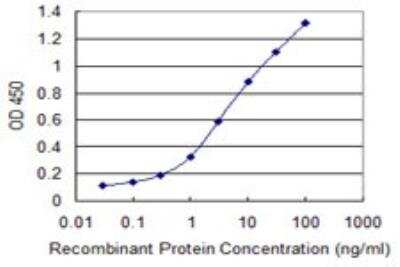 ELISA: Claudin-19 Antibody (2F2) [H00149461-M02]