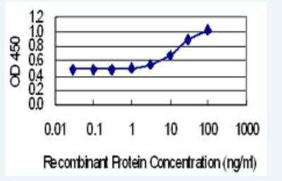 ELISA: Coactosin-like Protein 1/CotL1 Antibody (1A2) [H00023406-M01-100ug]