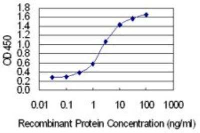 ELISA: Collagen V alpha 2 Antibody (3G11) [H00001290-M02]