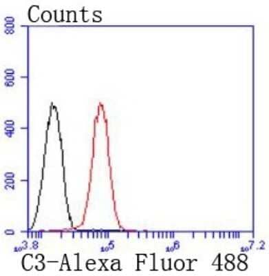 Flow Cytometry: Complement C3 Antibody (JF10-30) [NBP2-66994]
